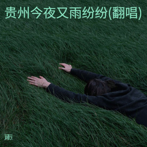 贵州今夜又雨纷纷 (Live)