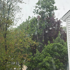 Run For Your Life (feat. Ryan Diaz)