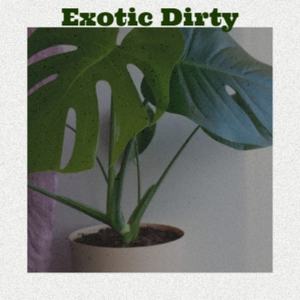 Exotic Dirty