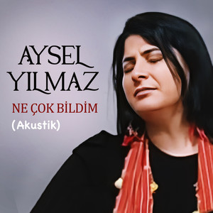 Aysel Yılmaz - Ne Çok Bildim (Akustik)