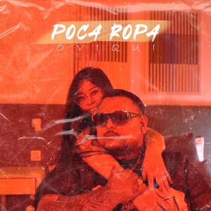 POCA ROPA