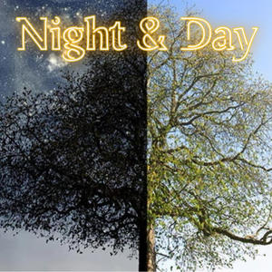 Night & Day (Explicit)