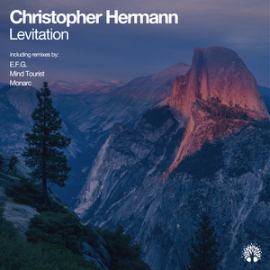 Levitation (Monarc Remix)