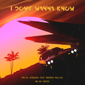 I Don't Wanna Know (feat. Brenda Mullen) (Mr. Nu Remix)