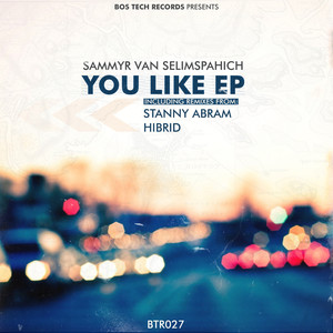 You Like (Stanny Abram Abracadabra Remix)