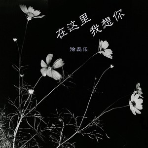 在这里我想你