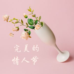 完美的情人节 : 适合跟爱人度过情人节的浪漫音乐，美妙的钢琴音乐，情侣温泉、浪漫烛光晚餐的背景音乐