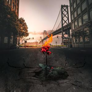 Through the Veil(feat. Killa Nova)