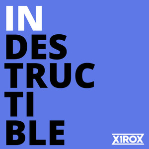 Indestructible (Extended Version)