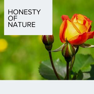 Honesty of Nature