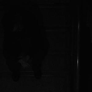 NEANT (Explicit)