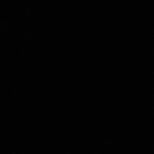 drip or drown (feat. TNO Triston & TNO Trippie) (Explicit)