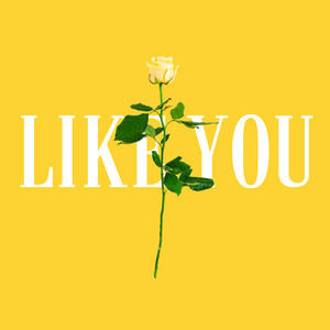 Like You