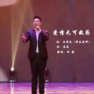 爱情无可救药 (伴奏)