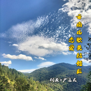 云南山歌你说要讨我回家 (DJ何友版)