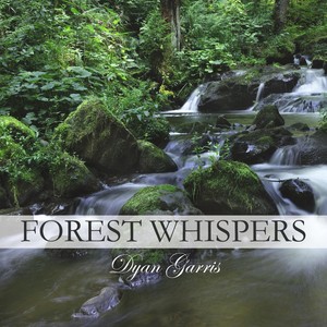 Forest Whispers(feat. Sherry Finzer)