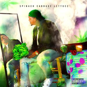 Investments (feat. Jigga P) (Explicit)