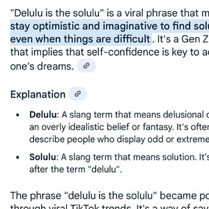 delulu is solulu 8.0