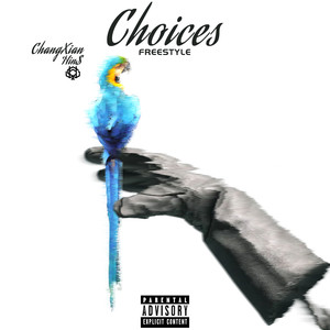 Choices Freestyle