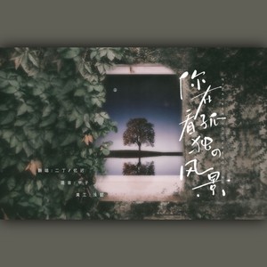 你在看孤独的风景封面