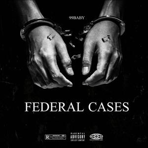 Federal Cases (Explicit)