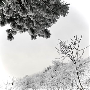 hãy cho con chịu đau khổ thay em (Winter Version)
