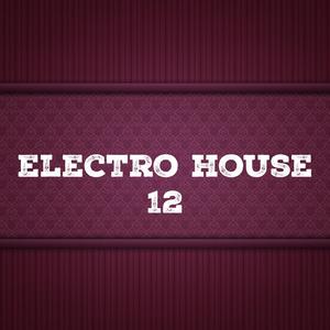 Electro House, Vol. 12