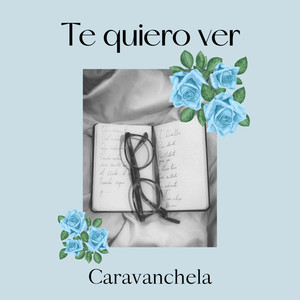 Te Quiero Ver