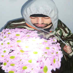Chrysanthemen (Explicit)