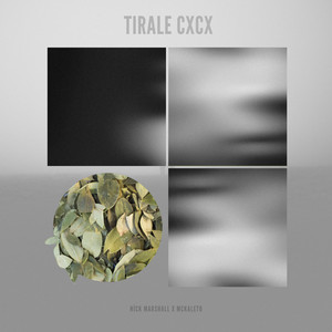 Tirale Cxcx (Explicit)