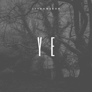 YE (feat. 2P03SLIMM) [Explicit]