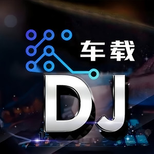 双重高爆DJ苗族电子琴