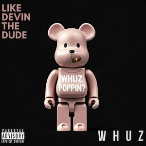 Like Devin the Dude (feat. Zillion Instrumentals|Explicit)