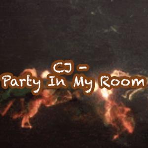 Party In My Room (Explicit)