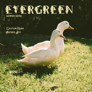 Evergreen (Summer Remix)