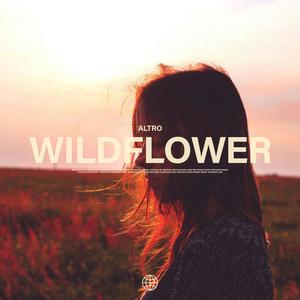Wildflower