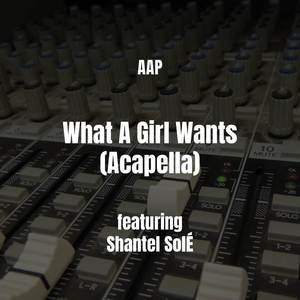 What A Girl Wants (Acapella|Explicit)