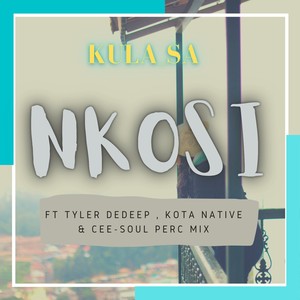 Nkosi (Perc Mix) [Explicit]