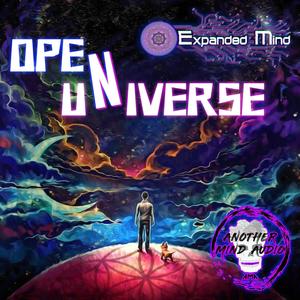 Open Universe