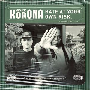 Hate At Your Own Risk (Explicit)