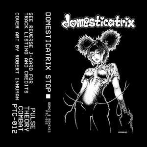 Homosexual Community (The Simulacrum Remix|Explicit)