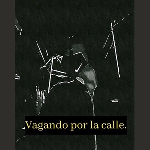 Vagando por la Calle