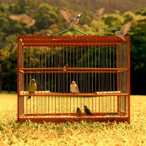 2K16 IC (feat. stringofmisery) (Explicit)