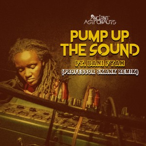 Pump up the Sound (Professor Skank Remix) [Explicit]