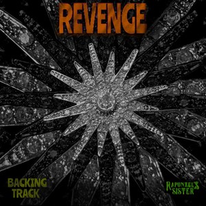 Revenge Backing Track