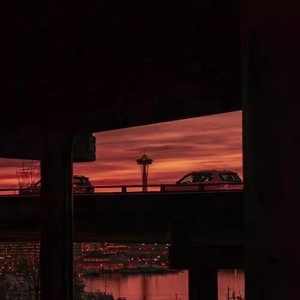 垃圾桶里的鲜花