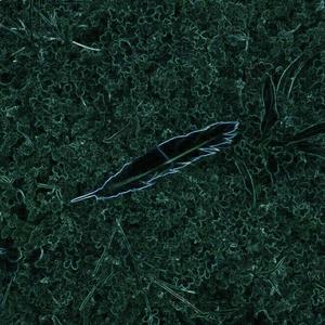 everything wrong but it's oki