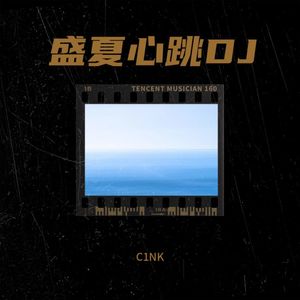 盛夏心跳DJ