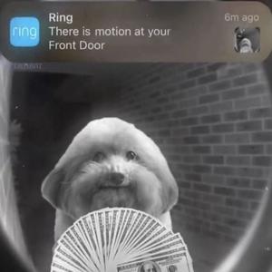 it ain shi (Explicit)