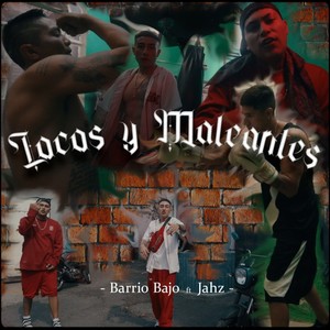 Locos y Maleantes